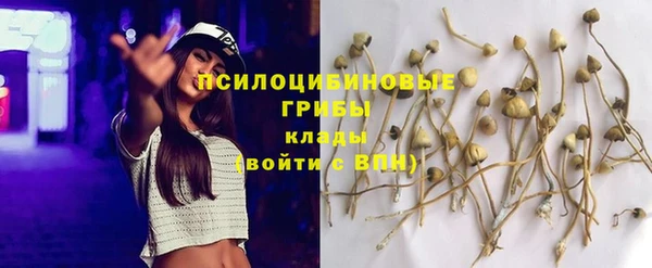 jwh Горно-Алтайск