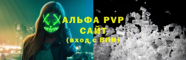 стаф Чекалин