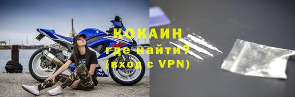 стаф Чекалин