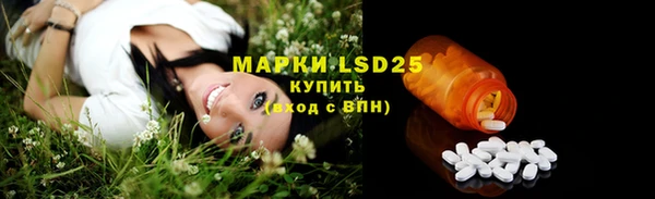 дживик Горняк