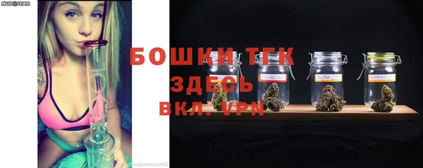 дживик Горняк