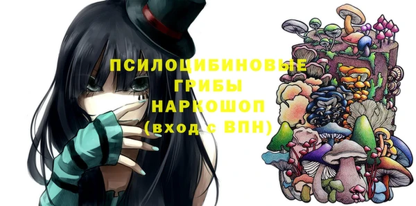 дживик Горняк