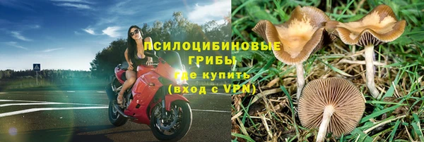 дживик Горняк